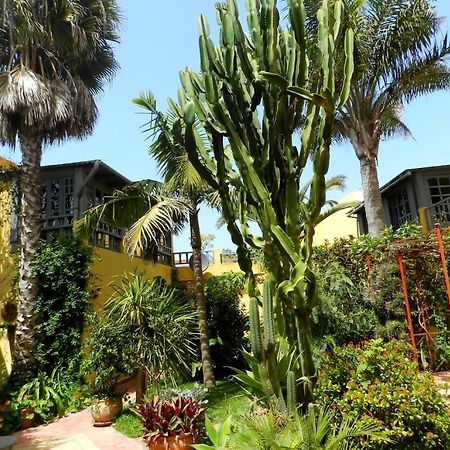 Dar Beldi Bed & Breakfast Oualidia Exterior photo