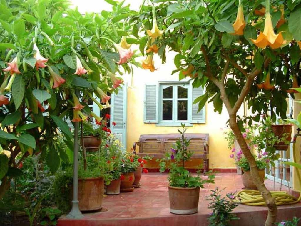 Dar Beldi Bed & Breakfast Oualidia Exterior photo