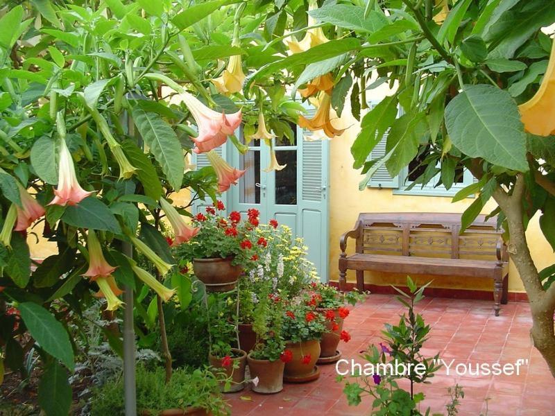 Dar Beldi Bed & Breakfast Oualidia Room photo